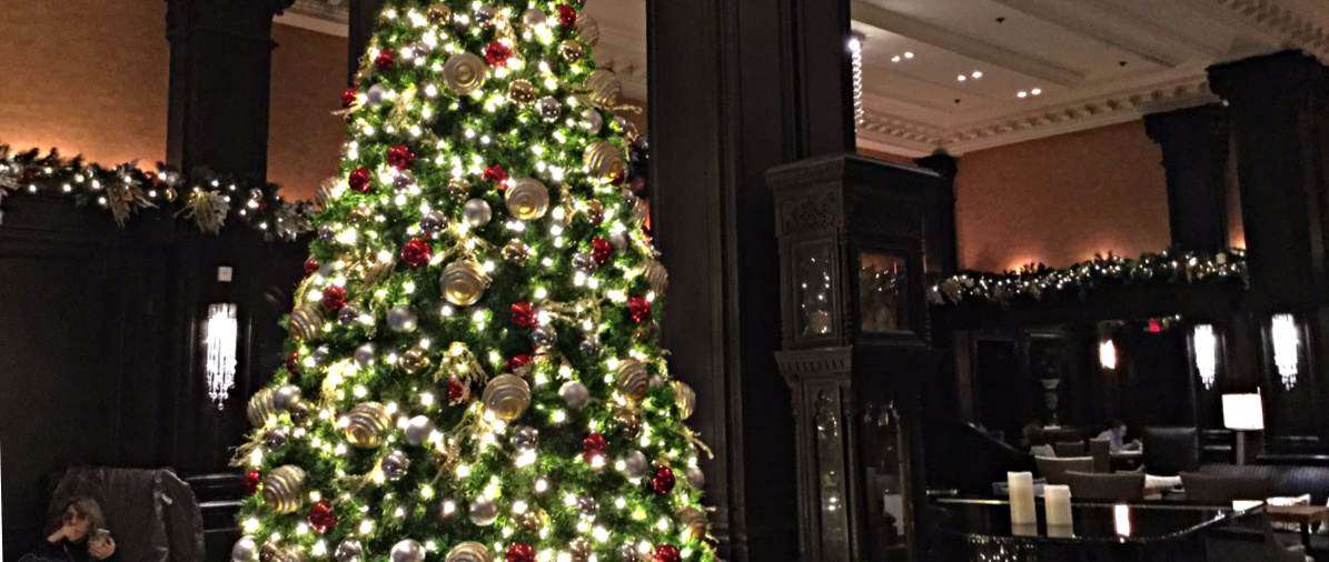 Algonquin_slider Christmas 2019 Overnight New York